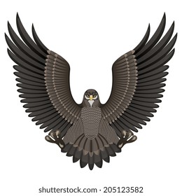 Vector illustration of an eagle isolated on white background