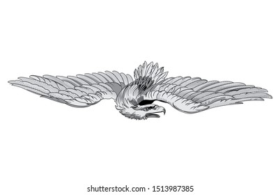 Vector illustration of a eagle with open wings in a vintage style.