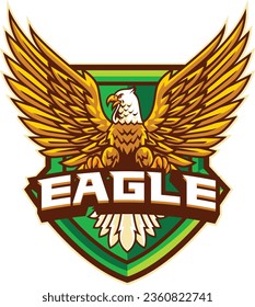 vector illustration of eagle for sport and esport team logo