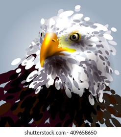 Vector illustration of the eagles head