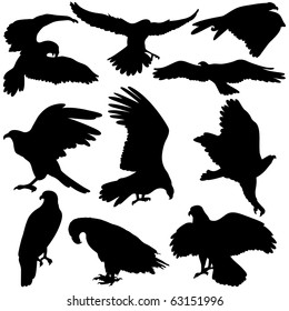 Vector illustration of Eagles silhouettes on white background.