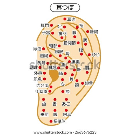 Vector Illustration of Ear Acupuncture Points Chart（in Japanese）
The Japanese characters mean "ear acupoint" and the names of acupoints such as "ear tip, stomach, finger, thyroid gland."