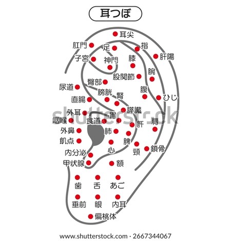 Vector Illustration of Ear Acupuncture Points Chart（in Japanese）
The Japanese characters mean "ear acupoint" and the names of acupoints such as "ear tip, stomach, finger, thyroid gland."