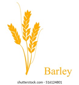Vector illustration ear of barley isolated on white background. Farm field. Cereal. Agricultural symbol, icon