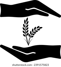 ilustración vectorial de una oreja de maíz sobre un fondo transparente