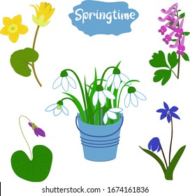 Vektorillustration Illustration von Frühjahrswald, Gartenblumen einzeln auf weißem Hintergrund. Flache Illustration von Schneeflocken im Eimer.
