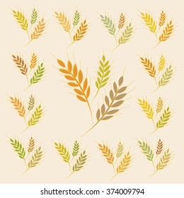 Vector illustration ears of wheat or barley background