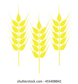 Vector illustration ears of wheat or barley on white background