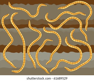 Vector illustration of earthworms in soil