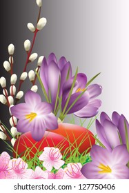 Vector illustration. Easter card with willow catkins, eggs, spring flowers.