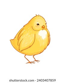 Vector illustration from the Easter set. Easter bunny, eggs, yellow chicken, stickers, frames, patterns and backgrounds. Easter holiday decor.