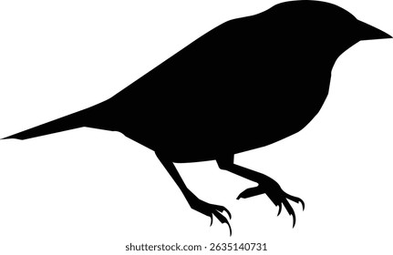 Ilustración vectorial de un Bluebird oriental en silueta negra