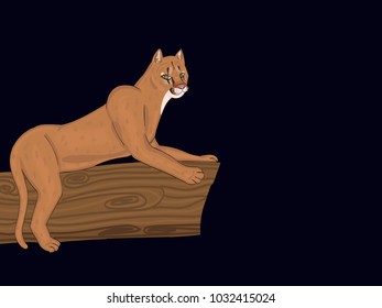 Vector illustration of an eastern puma that has gone extinct in America 