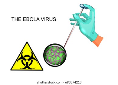 vector illustration of Ebola virus, hand, laboratory pipette with blood
