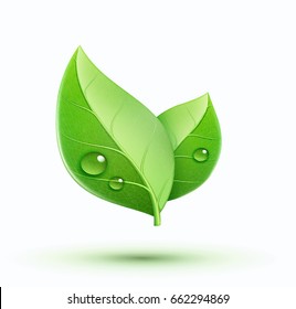Vector illustration of eco concept icon with glossy green leaves. May be used in ecological, medical, chemical, food and oil design.
