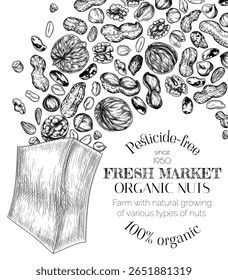 Ilustração vetorial de saco de papel ecológico com porcas. Modelo para superfood store com superfoods. Banner com produtos saudáveis no estilo de gravação. Amêndoas, avelãs, caju, nozes, amendoim, castanha do Brasil