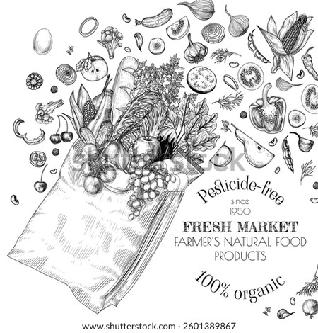 Vector illustration eco paper bag with food with scattered ingredients. Template for grocery store with vegetables. Farm products banner in engraving style. Healthy eating