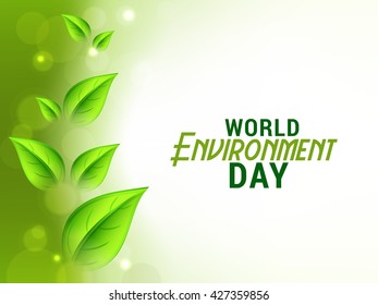 Vector illustration, eco poster,eco banner or eco card for world environment day with shiny green leaves background.