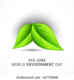Vector illustration, eco poster,eco banner or eco card for world environment day with shiny green leaves.