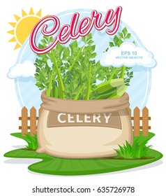 Vector illustration of eco products. Celery in burlap sack. Full sacks with fresh vegetables. Bag with harvest on the summer garden. Harvesting and food concept