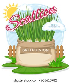 Vector illustration of eco products. Green onion in burlap sack. Full sacks with fresh vegetables.