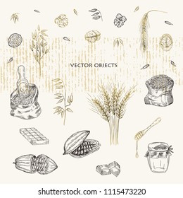Vector illustration. Eco products. Vector objects set. Pen style drawing.