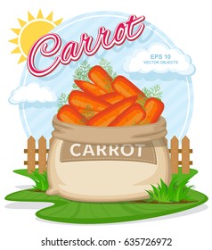 Vector illustration of eco products. Ripe Carrots in burlap sack. Full sacks with fresh vegetables. Bag with harvest on the summer garden. Harvesting and food concept