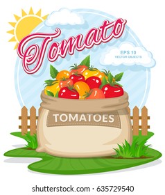 Vector illustration of eco products. Ripe Tomatoes in burlap sack. Full sacks with fresh vegetables. Bag with harvest on the summer garden. Harvesting and food concept