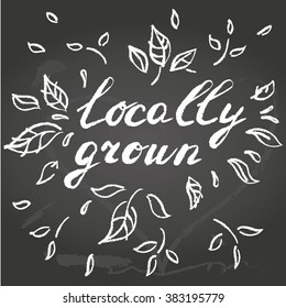 Vector illustration, eco theme. Locally grown. Chalkboard design