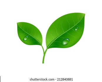 Vector illustration of ecology concept icon with glossy green leaves