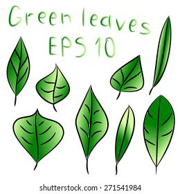 Vector illustration of ecology concept icon with glossy green leaves