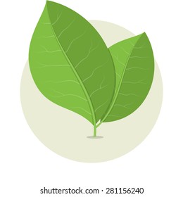Vector illustration of ecology concept icon with green leaves, flat design