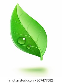 Vector illustration of ecology concept icon with glossy green leaf