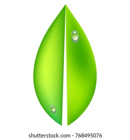 Vector illustration of ecology concept icon with glossy green leaf