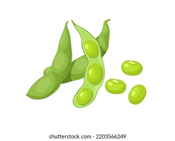 Vector illustration, edamame beans isolated on white background.