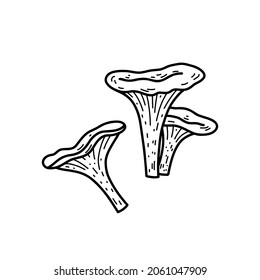 Vector illustration with edible chanterelle. Doodle forest mushrooms.