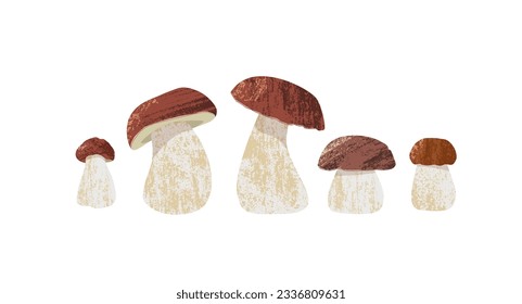 Vector illustration of edible European and North American boletus mushrooms with smooth brown cap, thick white stem and pores. Collection of porcini in different sizes and shapes with trendy textures.