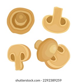 Vector illustration of edible fungi. Champignon mushroom preparation for cooking. Whole and slice button mushroom. Delicious vegetarian food