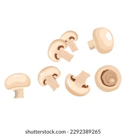 Vector illustration of edible fungi. Champignon mushroom preparation for cooking. Whole and slice button mushroom. Delicious vegetarian food