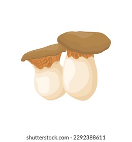 Vector illustration of edible fungi. Raw king oyster mushroom ripe, whole and slice, ready for cooking. Vegetarian food, full of protein