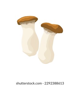 Vector illustration of edible fungi. Raw king oyster mushroom ripe, whole and slice, ready for cooking. Vegetarian food, full of protein