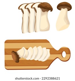 Vector illustration of edible fungi. Raw king oyster mushroom ripe, whole and slice, ready for cooking. Vegetarian food, full of protein