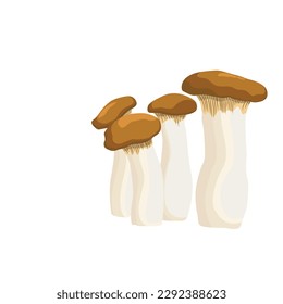 Vector illustration of edible fungi. Raw king oyster mushroom ripe, whole and slice, ready for cooking. Vegetarian food, full of protein