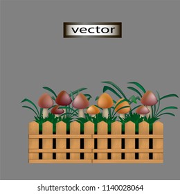 Vector illustration of edible mushrooms of different species in low grass container made of wooden decorative fence, isolated on black background.