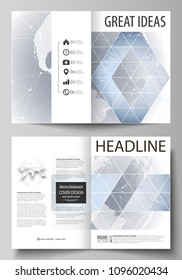 The vector illustration of the editable layout of two A4 format modern cover mockups design templates for brochure, magazine, flyer. Abstract futuristic network shapes. High tech background.