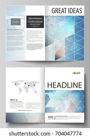 The vector illustration of the editable layout of two A4 format modern cover mockups design templates for brochure, flyer, booklet. Polygonal geometric linear texture. Global network, dig data concept