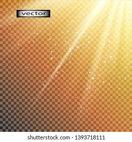 Vector illustration of the effect of the lighting beams from side light with sparkles of dew gold color
