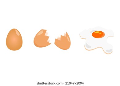Vector illustration of an egg, eggshell and fried egg. Raw egg whites and yolks