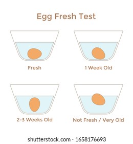 Vector illustration of egg freshness test. Instruction of testing eggs with water for safety. Simple egg float test infographics for your projects.