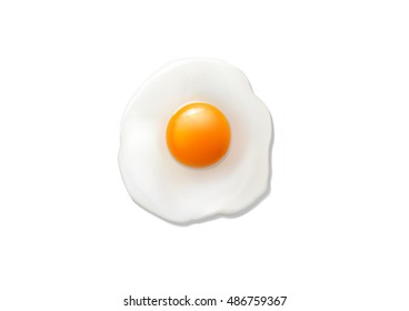 Vector illustration of egg yolk on white background.